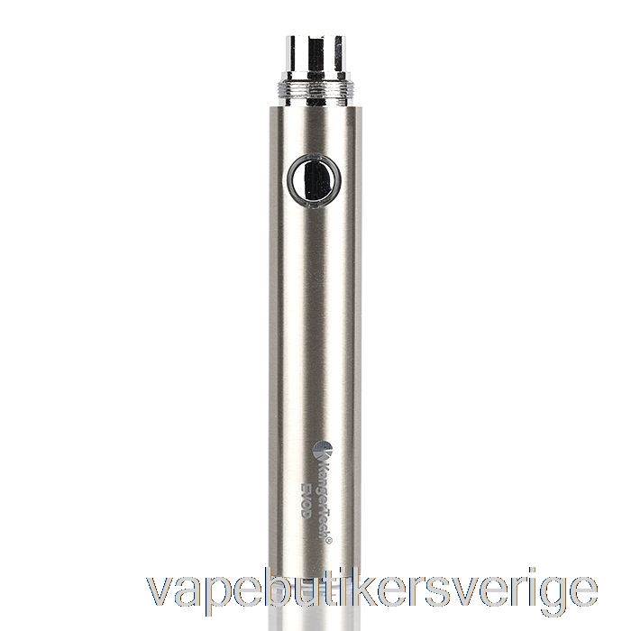 Vape Sverige Kanger Evod 650mah / 1000mah Batteri 650mah - Rostfritt Stål